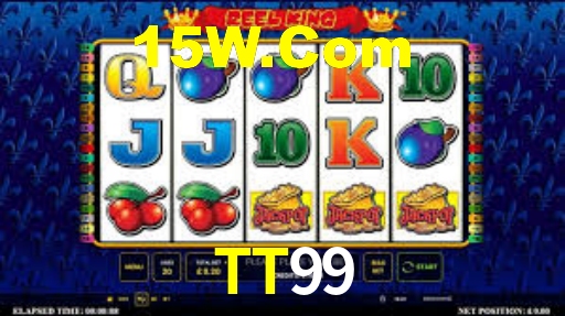 Premium Interface TT99
